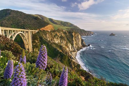 Half Day Private Big Sur Driving Tour in California