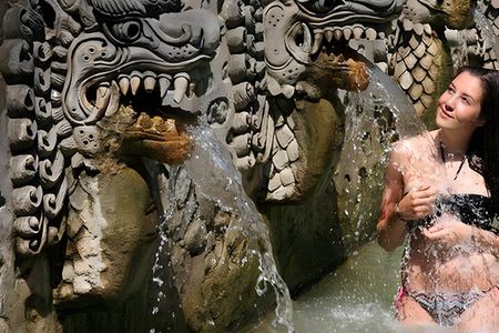 Bali Full-Day Car Charter: Beauty of North Bali Tour