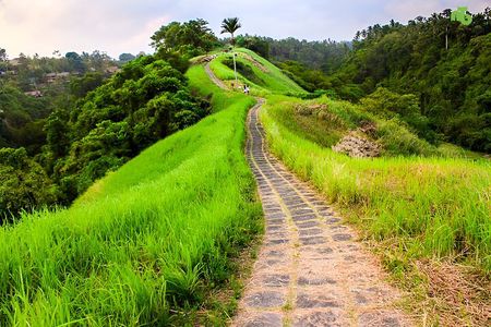 Bali Full Day-Tour: Ubud Sightseeing Trip