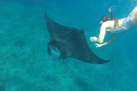 2 day tour and snorkel to meet Manta Rays in Nusa Penida