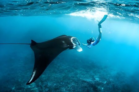 Nusa Penida Island Beach Tour With Snorkeling - Departure From Bali Island