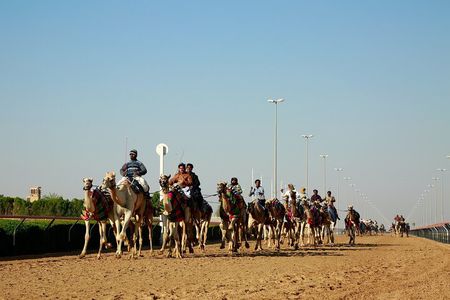 West of Qatar Tour