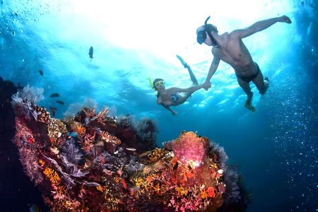 Blue Lagoon Snorkeling and Tanah Lot Sunset Tour