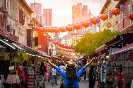 Private Singapore Chinatown, Little India and Temples Guided Tour