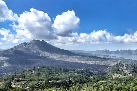 Bali Full-Day Car Charter: Ubud and Kintamani Volcano Tour