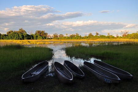 6 Days Victoria Falls Chobe Wildlife and Okavango Delta Tour