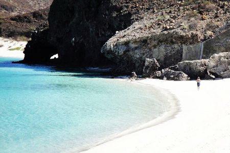 All-Inclusive Catamaran Tour | Beaches & Sea Lions from Los Cabos