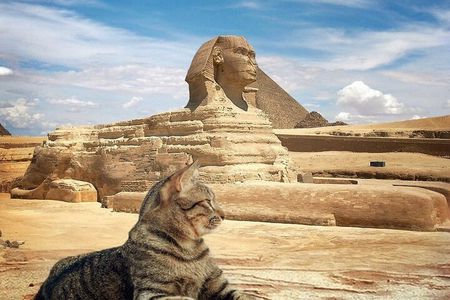 Exploring Giza Pyramids & The Hidden Spots on Foot.