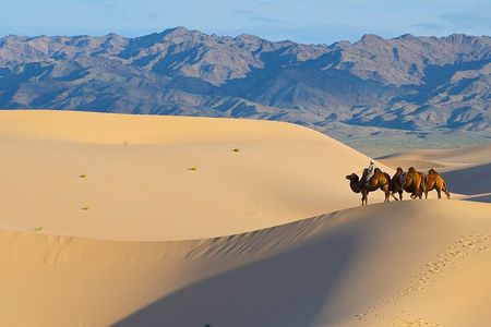 Captivating Central Mongolia with Guide