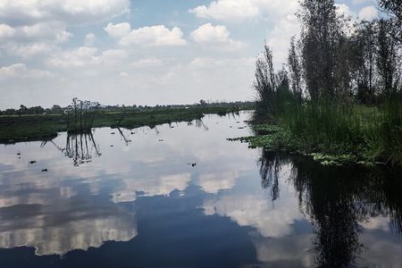 Pre-Hispanic Xochimilco and ajolotario. Private Ecotour.