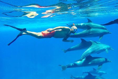 Private Speedboat Snorkeling Sea Trip with Transfer - Hurghada