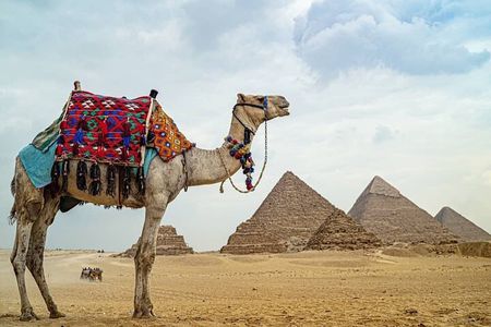 Private Tour To Giza Pyramids,Sphinx,panorama & Lunch 