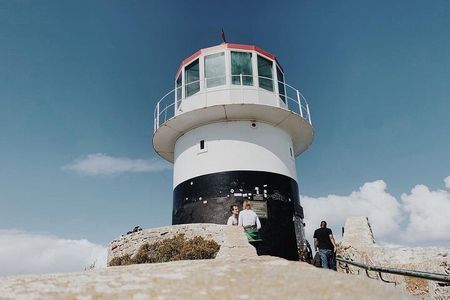 Full Day Cape of Good Hope-Cape Point Group Tour from Cape Town