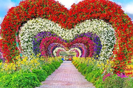 Private Dubai City Tour with Miracle Garden Ticket