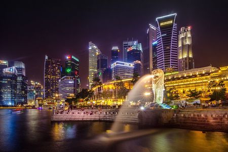 Singapore Starry Night : Cruise, Garden Rhapsody & Spectra Show