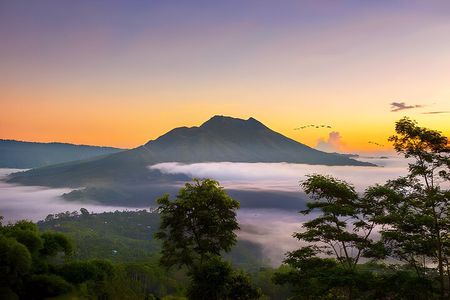 Private Full-Day Tour: Waterfall, Temple, Volcano, Rice Terrace & Monkey Forest