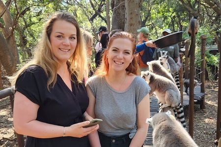 Monkey and Lemur Interaction + Wooden Bridge Forest Walk