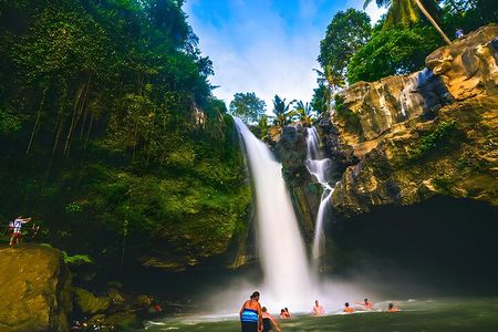 Bali Half-Day Car Charter: Ubud Waterfall Tour