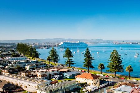 Tauranga Shore Excursion: Top Half Day Curated Highlights Tour