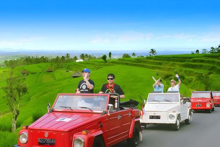 Jatiluwih VW Safari Bali Tour - Volkswagen Classic Car Trip
