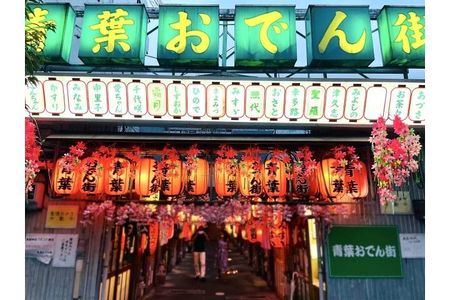 Travel back in time to the Showa-era Oden Street/V-G