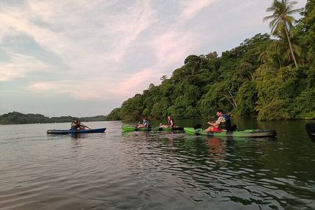 Double Kayak Bioluminescence Tour in Costa Rica