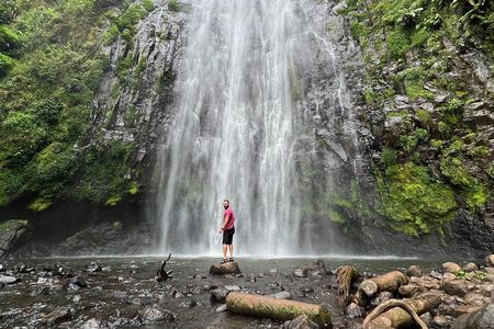 Private tour : Materuni Waterfalls & Coffee Tour with Local Lunch