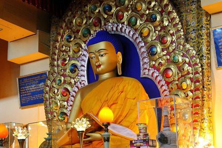 Private Guided Dharamshala Tour with Scenic Views & Lunch
