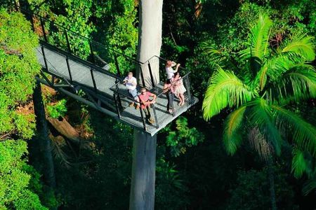 Tamborine Rainforest Skywalk + Hop on Hop off Bus from Brisbane