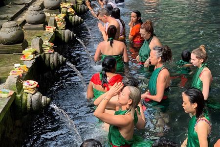 Bali Car-Charter: Go as your own trip to Ubud
