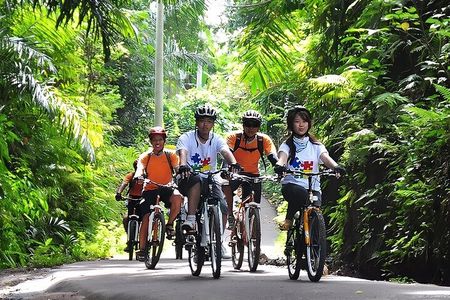 Bali Cycling and Ubud Waterfall Tour