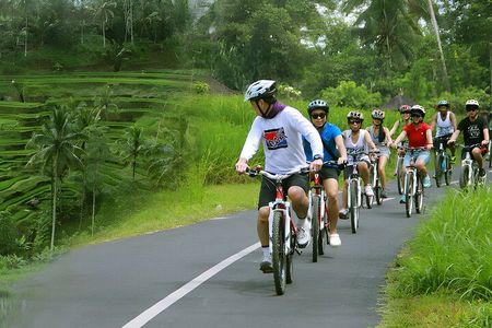 Bali Cycling and Jungle Swing Adventure Experience