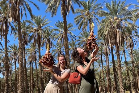 Private two-day tour in Biskra Date Palm Grove