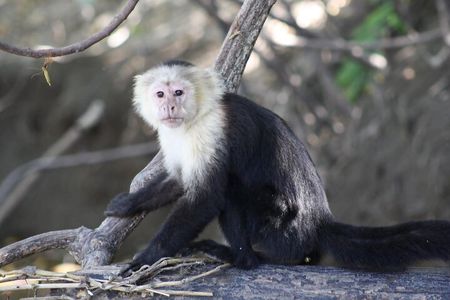 Palo Verde National Park Safari Boat Tour