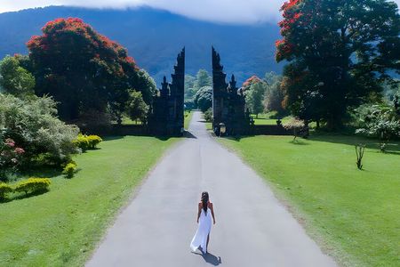 Bali Car-Charter: Amazing North Bali Tour