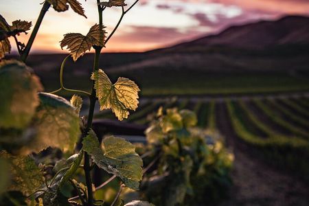 Haro, Laguardia and two Rioja wineries from Bilbao