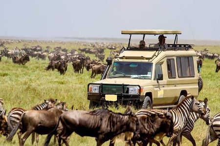 3 days Maasai Mara Camping Safari On 4X4 Land Cruiser Jeep