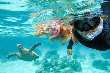 Private Speed Boat Charter in St Maarten & Nature Reserve
