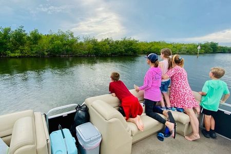 Dolphin/Manatee Pontoon Boat Tour with Local Expert