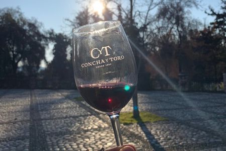 Premium Excursion in Concha y Toro