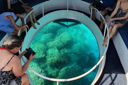 Dimaniyat Island Tour on Glass Bottom Boat (Muscat)