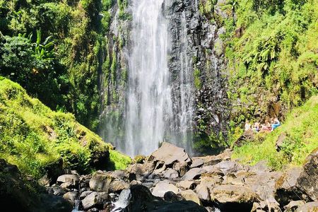 Materuni Waterfall, Coffee Tour and Picnic Hot Lunch 