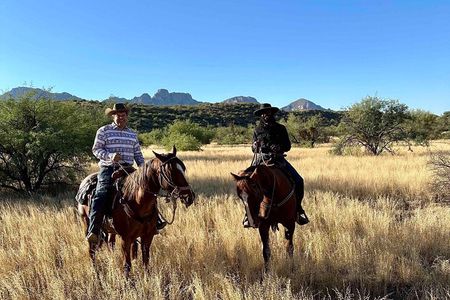 Guided 90 Min Horseback Ride Catalina State Park Coronado Forest