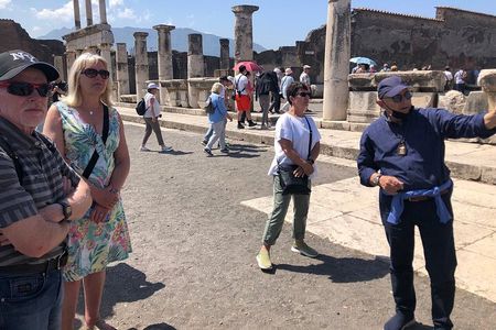 Pompeii Express Guided Tour by Train from Sorrento