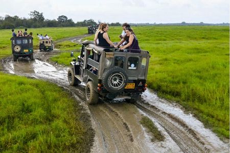 Kaudulla Jeep Safari & Dambulla Day Tour From Trincomalee