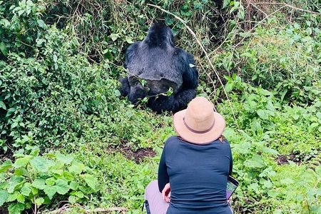 2 Days Ultimate Gorilla trekking