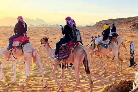 Wadi Rum trip from Aqaba, round trip, includes a 2 -hour jeep