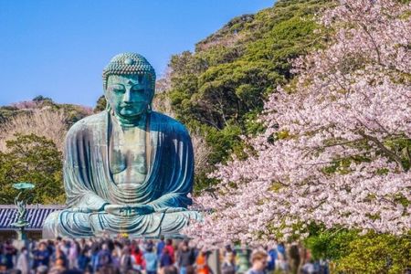 4-hour Private Tour of Kamakura with Government-Licensed Guide