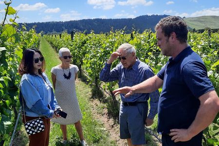 Martinborough Winery and Foodie Tour