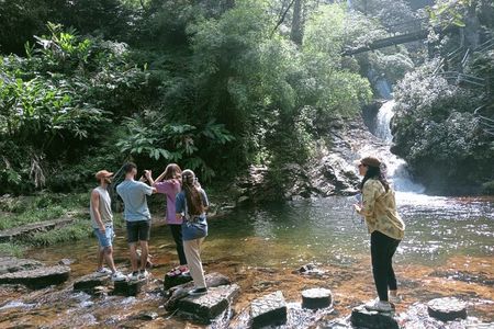 Visit Love Waterfall & Luscious Nature trek with fantastic views